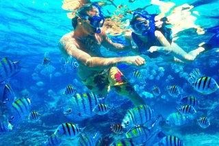 snorkeling-tbenoa.jpg